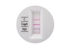 ImevaX - CagA Antigen - Cytotoxin-Associated Antigen A