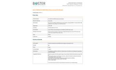 Boster - Model Anti-MKK3/6 MAP2K6 - Monoclonal Antibody - Datasheet