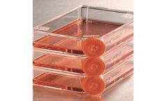 M-155 DNA Fluorochrome Staining Assay Services