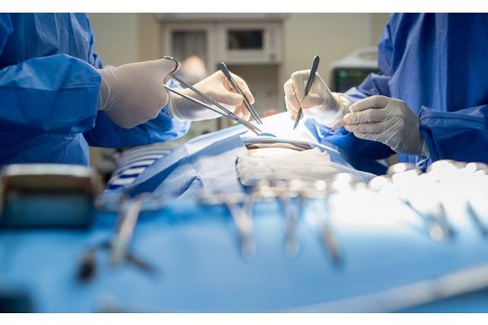 Solid Organ Transplantation Services