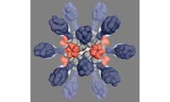 Icosavax - Model IVX-121 - RSV VLP Vaccine Candidate