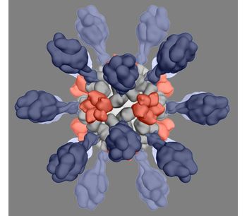 Icosavax - Model IVX-121 - RSV VLP Vaccine Candidate