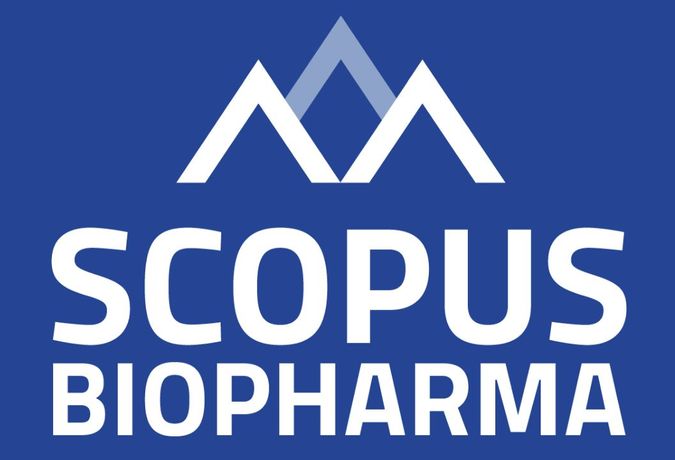 Scopus - Model CO-sTiRNA - Dual-Action STAT3 Inhibitor