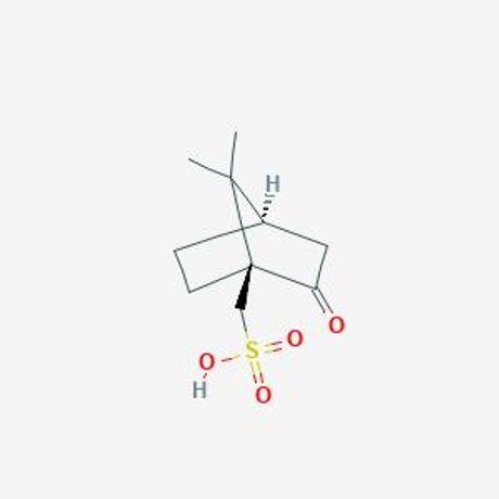 Actylis - Model 18000197 - Camphorsulfonic Acid
