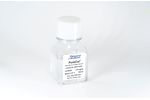 PureCol - Model 5005 - Type I Collagen Solution, 3 mg/ml (Bovine)