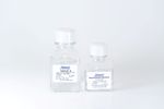 TeloCol-6 - Model 5225 - Type I Collagen Solution, 6 mg/ml (Bovine)