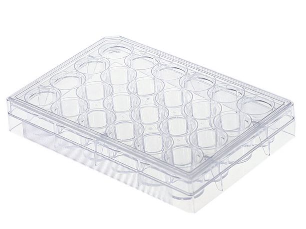 Collagen Coated 24-Well Plates - 5440 - Collagen Coated Plates ...