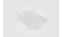 Collagen Coated 48-well Plates - Model 5181 - PureCol® Collagen Coated Plates