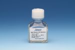 Silk Fibroin - Model 5154 - Solution, 50 mg/ml