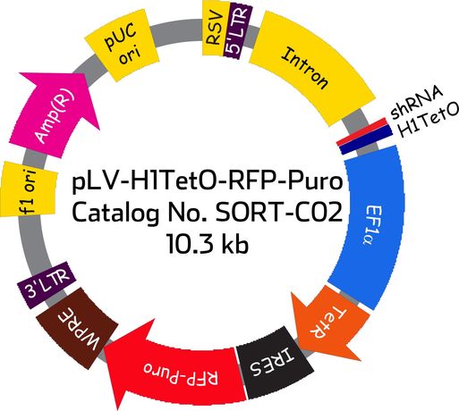 Model SORT-C02 - pLV-H1TetO-RFP-Puro