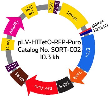 Model SORT-C02 - pLV-H1TetO-RFP-Puro