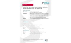 CellGenix - Model GMP SCGM - Growth Medium Serum-Free Stem Cell - Brochure