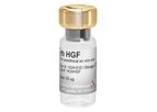 CellGenix - Model rh HGF - Recombinant Human Hepatocyte Growth Factor Cells