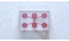 Model DuaLink MEA - Microfluidic Chip