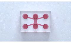 Model DuaLink Shift - Microfluidic Chip
