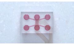 Model DuaLink Shift MEA - Microfluidic Chip