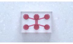 Model DuaLink - Microfluidic Chip