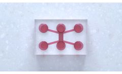 Model DuaLink Ultra - Microfluidic Chip