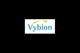 Vybion