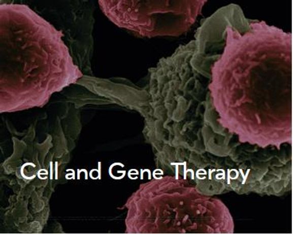 Focal Molography Solution for Cell and Gene Therapy - Medical / Health Care - Pharmaceuticals