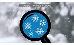 What do snowflakes and cells have in common? - Video