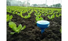 Sensoterra - Soil Calibration Services