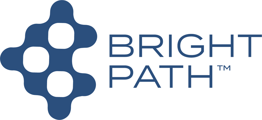 Bright Path - Rapid Drug Development Service