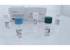 CapeSprint - Taq DNA Polymerase Kit