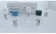 CapeSprint - Taq DNA Polymerase Kit