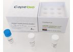 CapeSprint - Taq DNA Polymerase ReadyMix