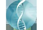 Model Plasmid DNA - Critical Raw Material for Advanced Therapeutics