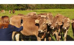 Folio3 - Cattle Breed Identification App