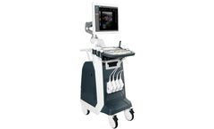 Welld - Model FDC8100V - Vet Color Doppler Ultrasound Diagnostic System