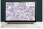 Halo - Image Analysis Platform Software