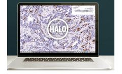 Halo - Image Analysis Platform Software