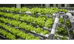 Guide to Vertical Farming