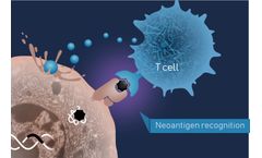 NEC - Neoantigens Enable Personalized Cancer Immunotherapy Technology