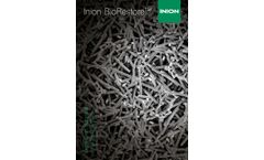 Inion - Model BioRestore - Synthetic Bone Graft Substitute Brochure
