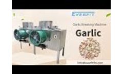 Commercial Garlic Breaking Machine - Garlic Bulb Breaker Machine Factory Price for Sale