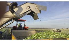 Valley Fabrication Salinas, CA Brussels Sprouts Harvester - Video