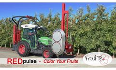 REDpulse - Color Your Fruits - Video