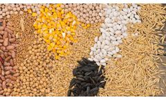 Lima - Model 2022/8/23 - How to produce fish feed pellets in Nigeria?