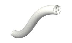 BeGraft - Model Plus - Peripheral Stent Graft System