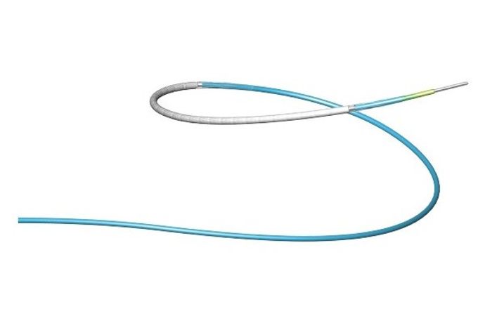 Begraft - Coronary - Stent Graft System By Bentley Innomed Gmbh