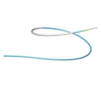 Begraft - Coronary - Stent Graft System By Bentley Innomed Gmbh