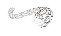 BeYond - Model Venous - Self-Expanding Stent System