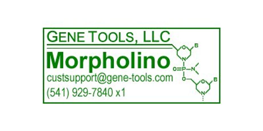 Gene Tools - Vivo-Morpholino GFP Positive Control