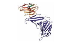 ExeVir - Model XVR011 - Potent, Broadly Neutralising SARS-COV-2 Therapy