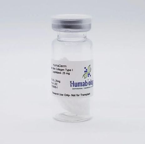 HumaDerm - Model Type I, Lyophilized (SCL) - Human Skin Collagen