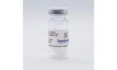 HumaDerm - Model Type I, Lyophilized (SCL) - Human Skin Collagen